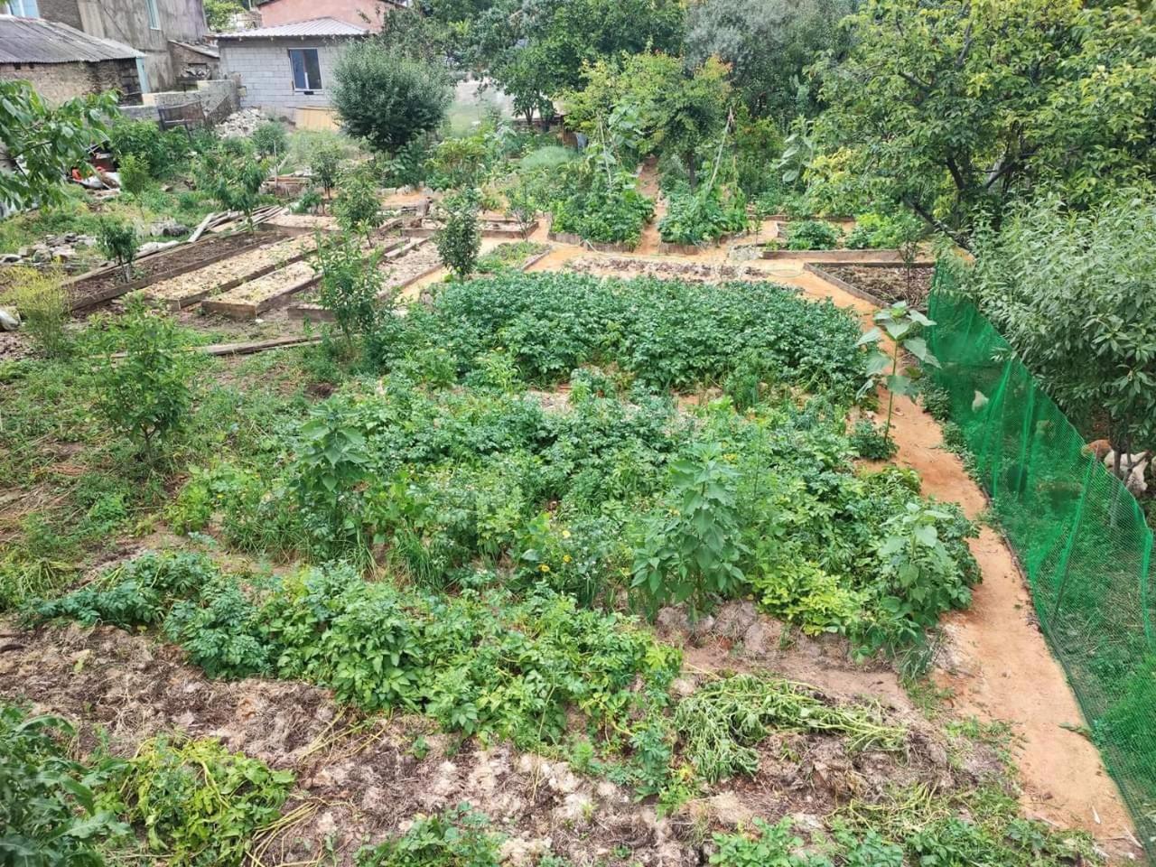 Berdavan Guesthouse Buitenkant foto